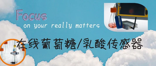 Focus on your really matters---在线葡萄糖/乳酸传感器