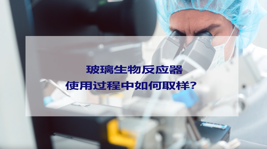 玻璃生物反应器使用过程中如何取样