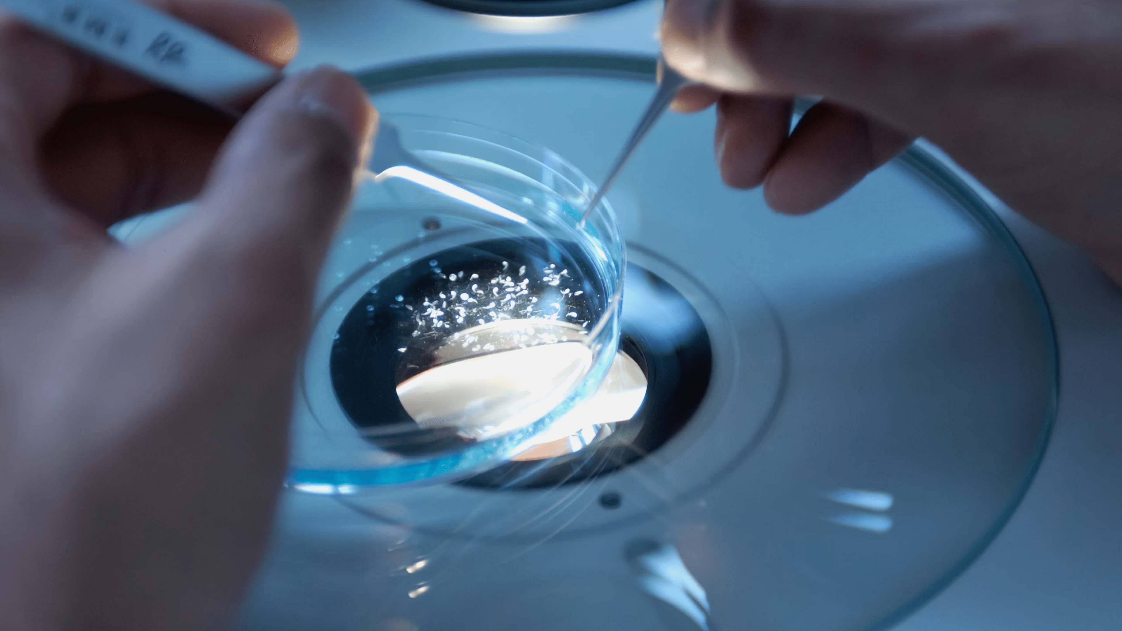 生物制药行业流程自动化：挑战与机遇并存，推动产业转型升级